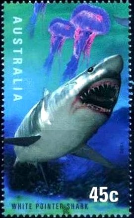 Australia 1998 Year of the Ocean d.jpg