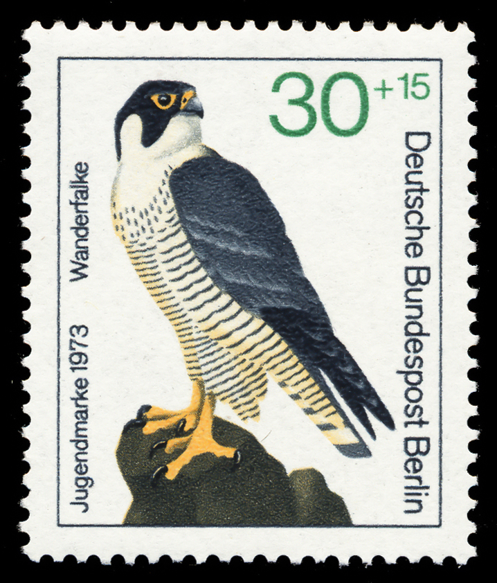 Germany-Berlin 1973 Youth Welfare - Birds of Prey 30+15.jpg