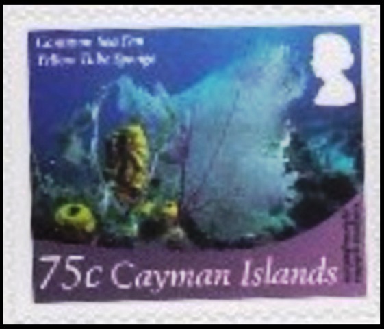 Cayman Islands 2012 Definitives - Marine Life 75c.jpg