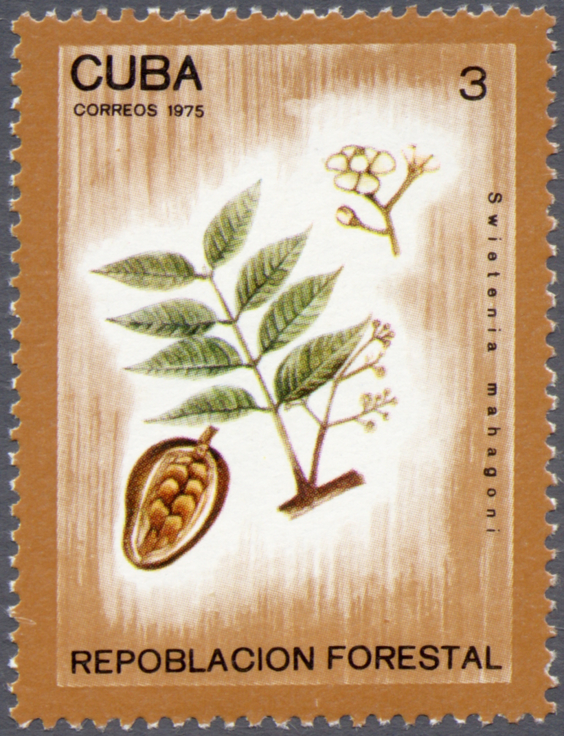 Cuba 1975 Reforestation 3.jpg