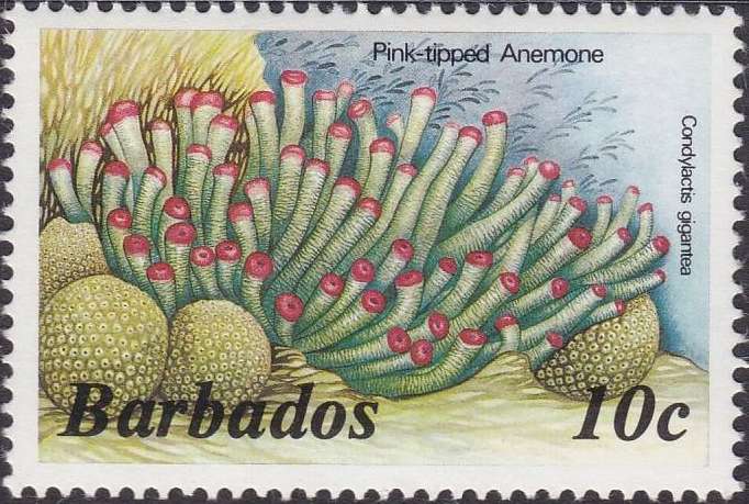 Barbados 1986 Definitives b.jpg