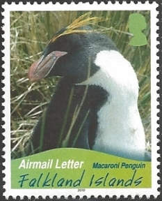 Falkland Islands 2010 Penguins d.jpg