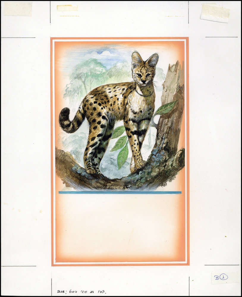 Burundi 1992 Felis Serval World Wildlife Fund WWF a2.jpg