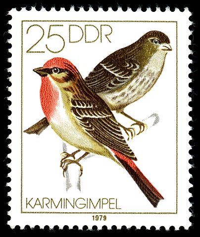 Germany-DDR 1979 Songbirds 25pf.jpg