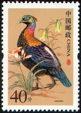 China (Peoples Republic) 2002-06 Definitives - Birds 0-40.jpg