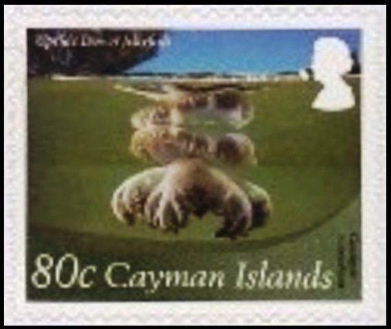 Cayman Islands 2012 Definitives - Marine Life 80c.jpg