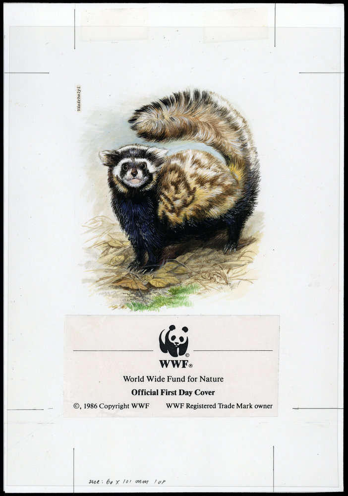 Kazakhstan 1997 Marbled Polecat d2.jpg