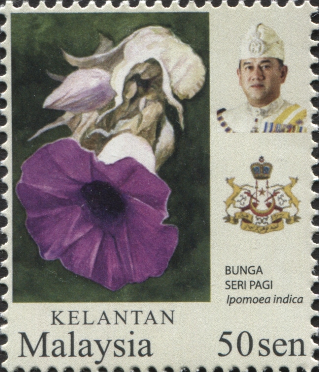 Kelantan 2018 Flowers e.jpg