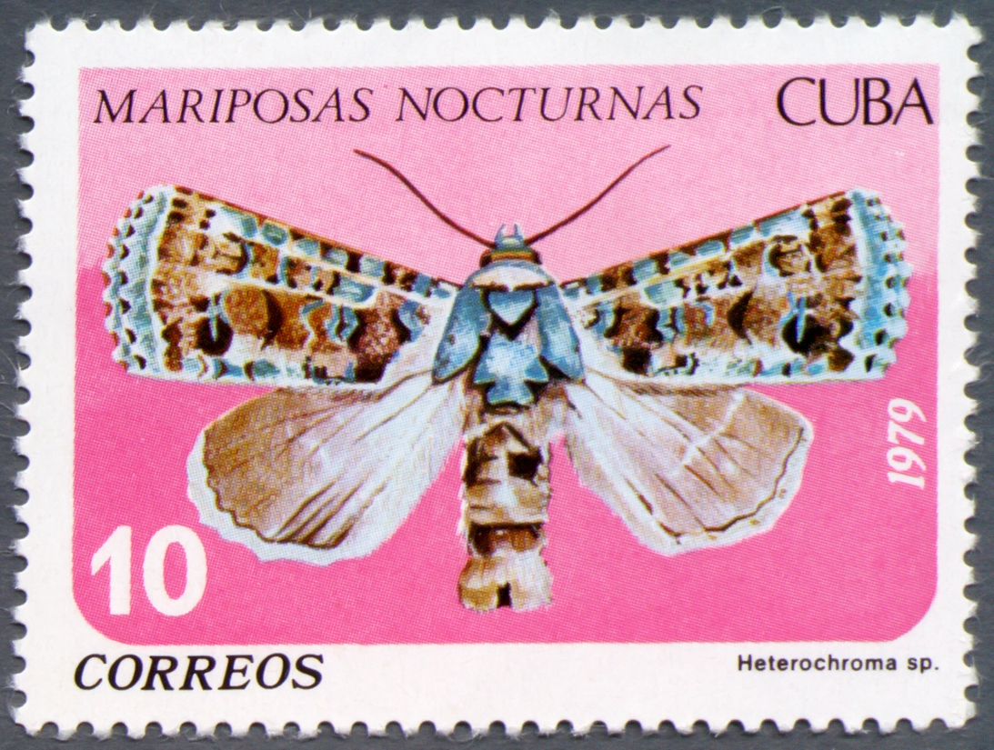 Cuba 1979 Nocturnal Butterflies 10c.jpg