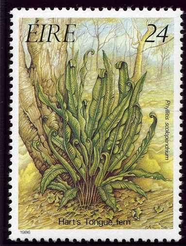 Ireland 1986 Ferns 24p.jpg
