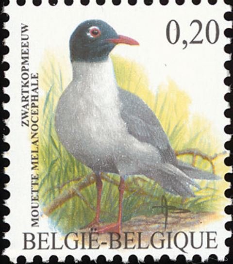 Belgium 2002-2005 Definitives - Birds - Values in € 0€20P6a.jpg
