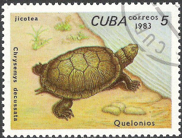 Cuba 1983 Turtles 5c.jpg