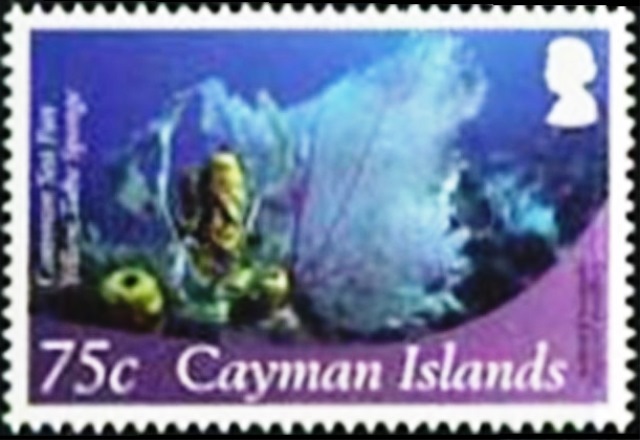 Cayman Islands 2012 Definitives - Marine Life c.jpg