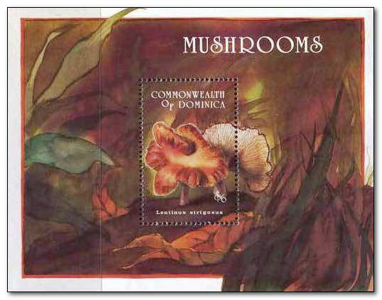Dominica 1994 Fungi Ms1.jpg