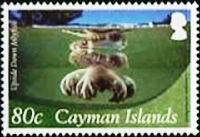Cayman Islands 2012 Definitives - Marine Life d.jpg