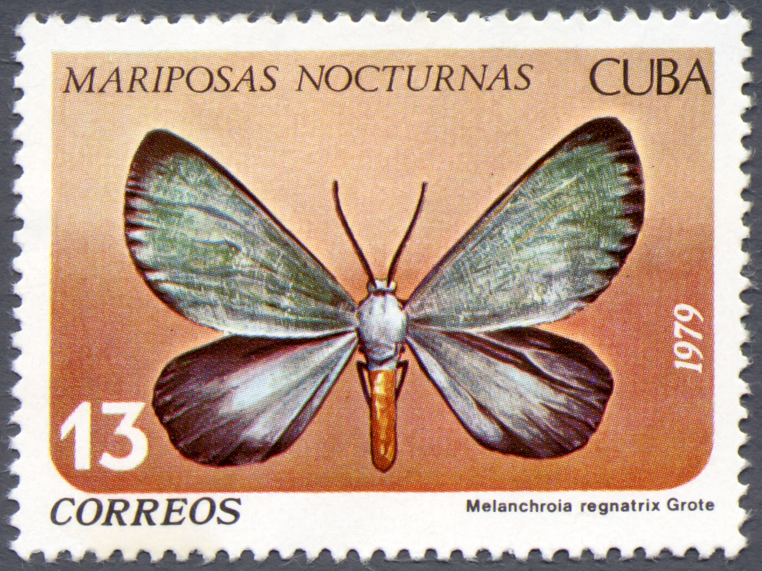 Cuba 1979 Nocturnal Butterflies 13c.jpg