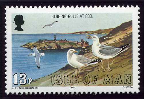 Isle of Man 1983 Sea Bird Definitives. 13p.jpg