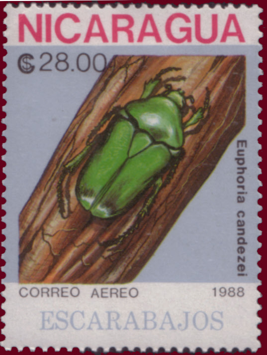 Nicaragua 1988 Beetles f.jpg