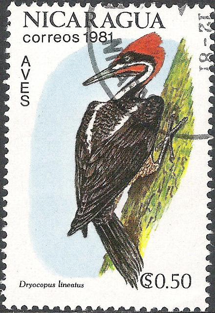 Nicaragua 1981 Birds 0,50cor.jpg
