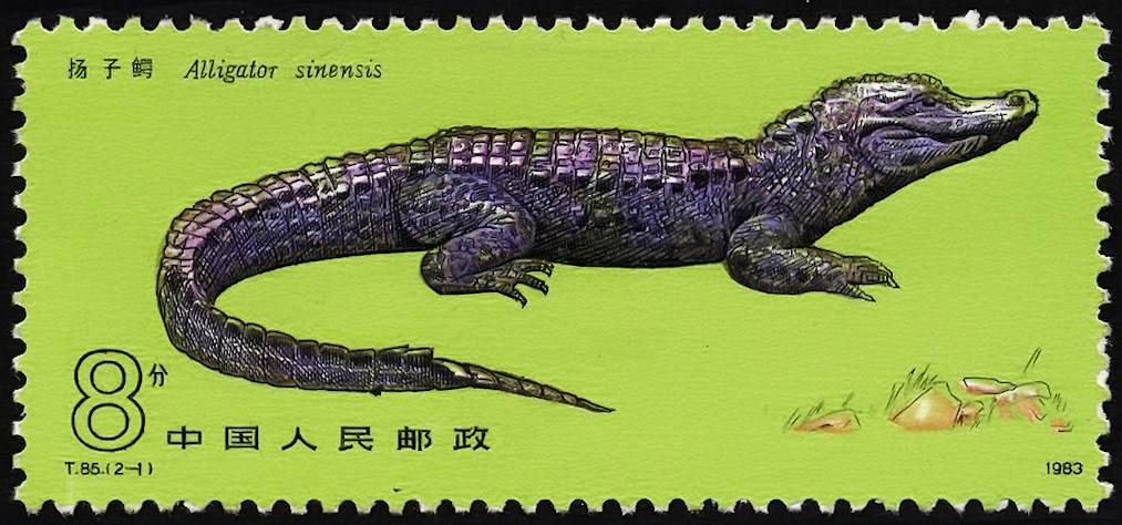 China (Peoples Republic) 1983 Chinese Alligator 8.jpg