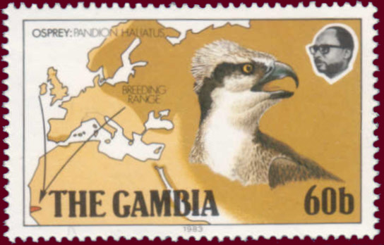 Gambia 1983 Osprey b.jpg