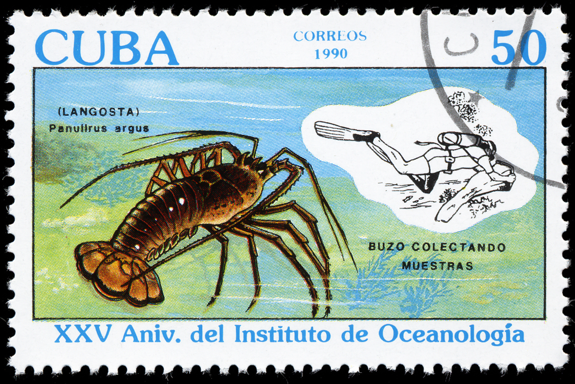 Cuba 1990 The 25th Anniversary of the Oceanology Institute 50c.jpg