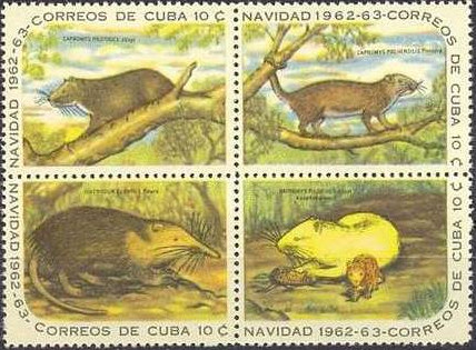Cuba 1962 Christmas 10a.jpg