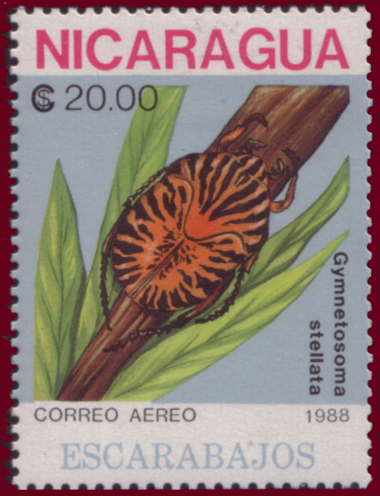 Nicaragua 1988 Beetles d.jpg