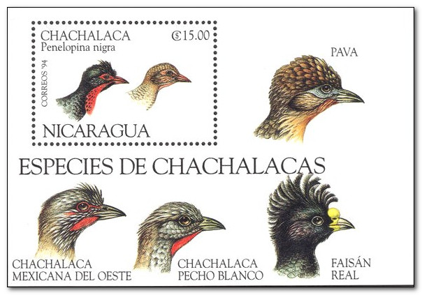 Nicaragua 1994 Endangered Species 1ms.jpg