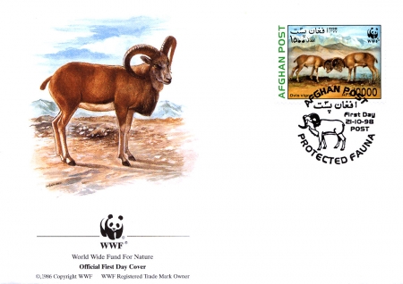 Afghanistan 1998 Steppe Sheep WWF d1.jpg