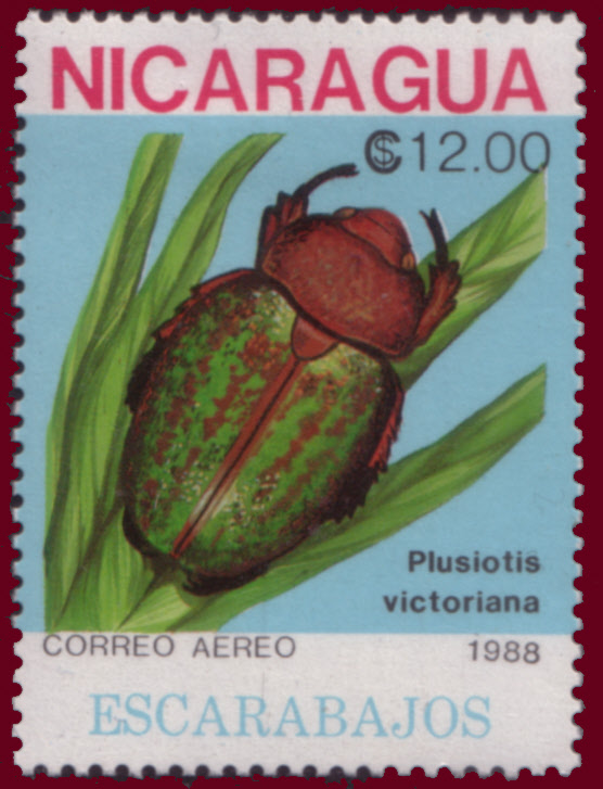 Nicaragua 1988 Beetles b.jpg