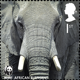 GB 2011 World Wildlife Fund a.jpg