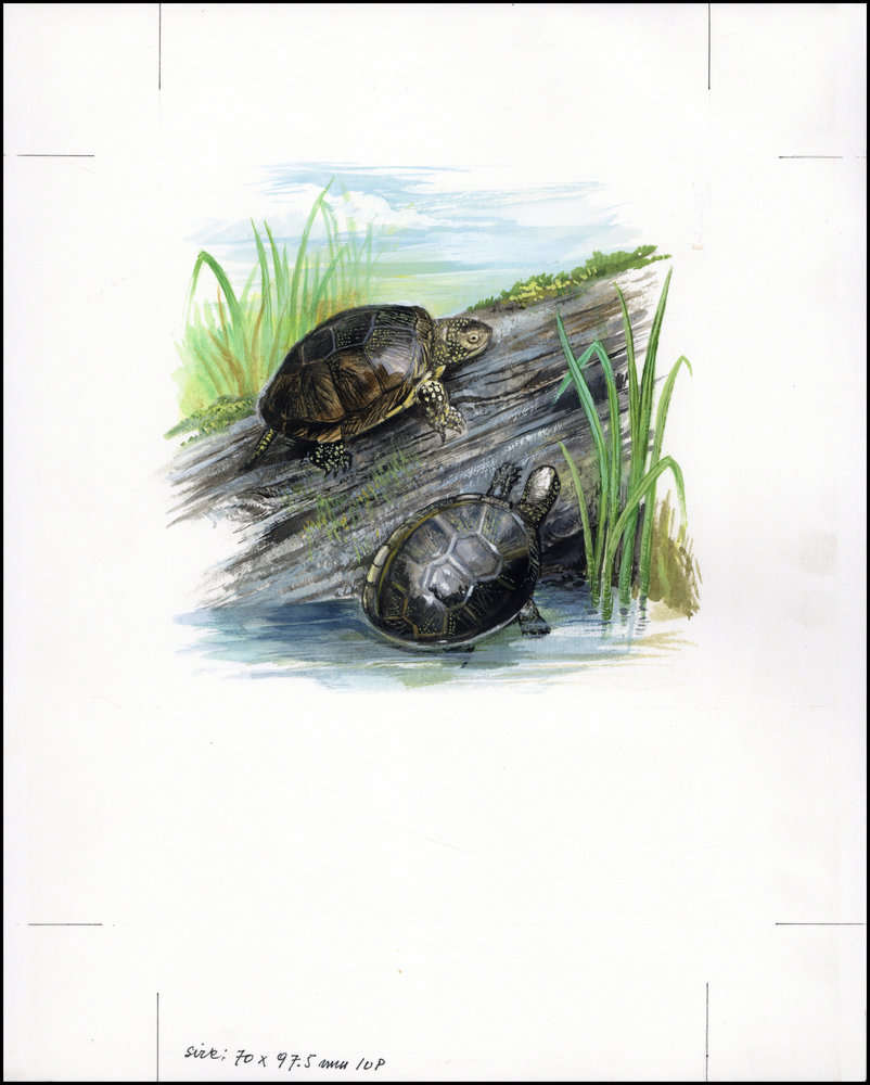 Slovenia 1996 Pond Turtles d2.jpg