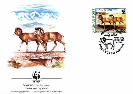 Afghanistan 1998 Steppe Sheep WWF c3.jpg
