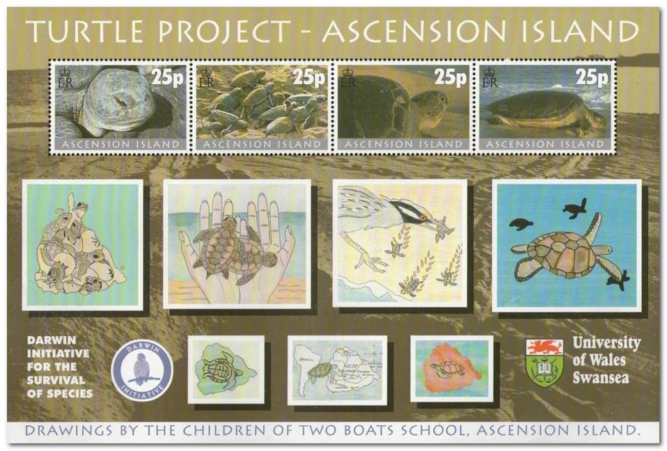 Ascension 2000 Ascension Turtle Project ms.jpg