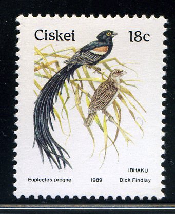 Ciskei 1981 1st Definitive Issue 18c.jpg