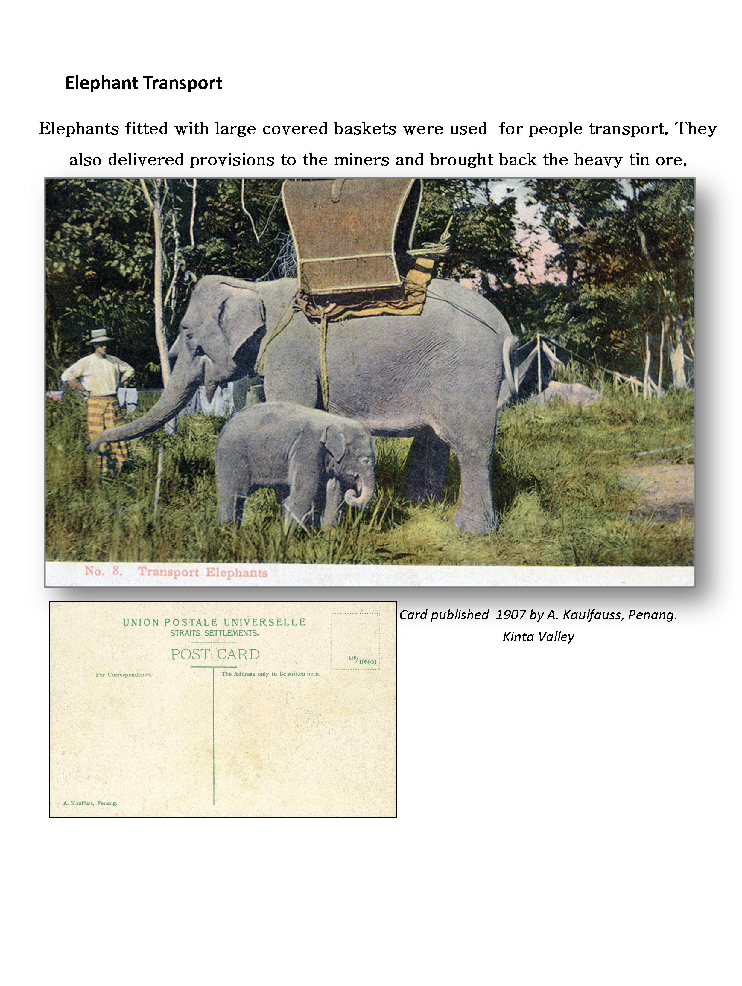 File:4.Elephant transport.jpg