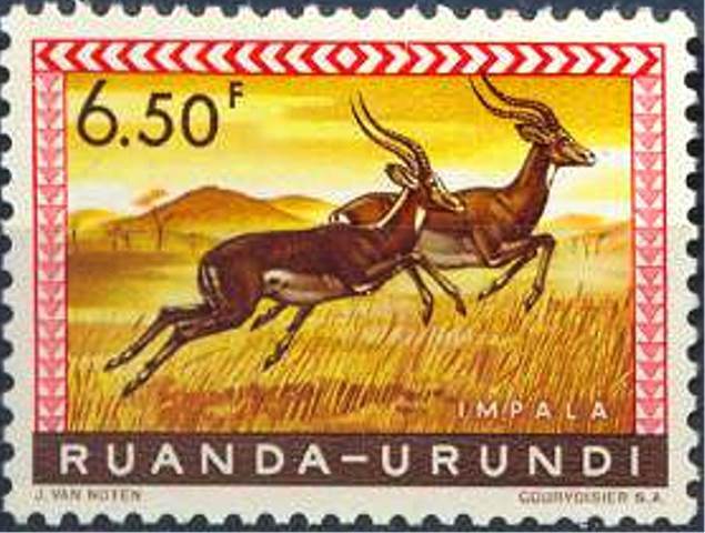 Ruanda-Urundi 1959 Definitive Issues - Animals 6F50.jpg