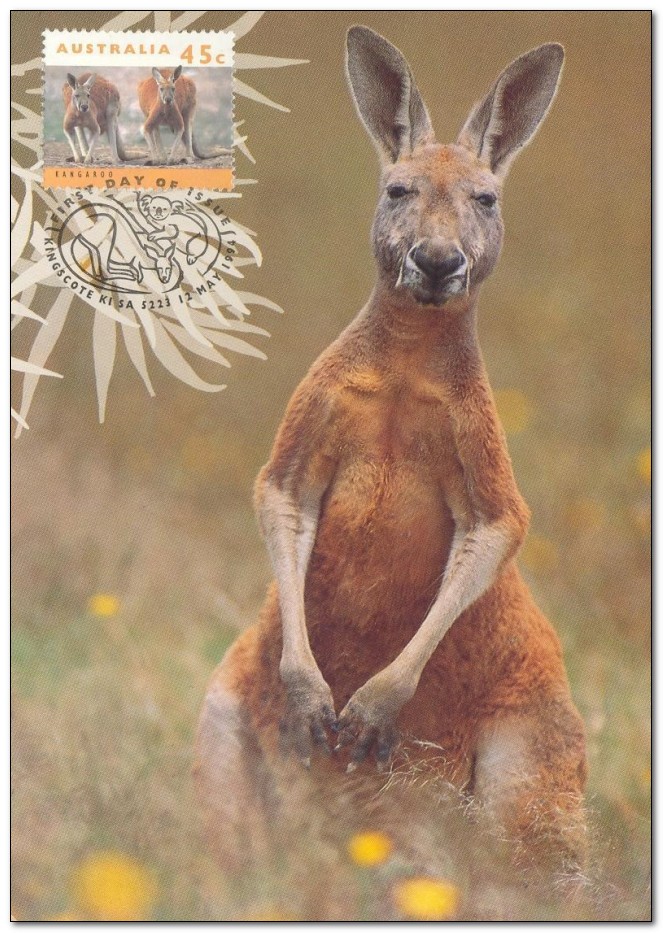 Australia 1994 Kangaroos and Koalas 2mc.jpg