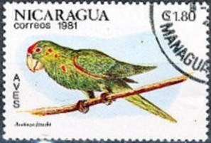 Nicaragua 1981 Birds 1,80cor.jpg