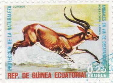 Equatorial Guinea 1974 Endangered Animals 25c.jpg
