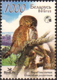 Belarus 2007 Owls c 500.jpg