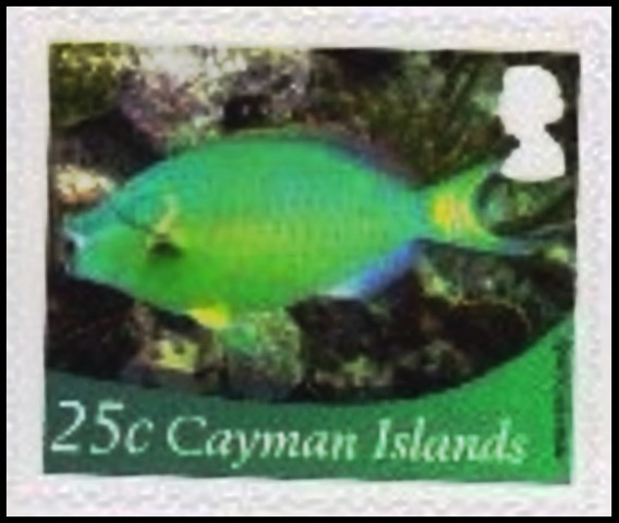 Cayman Islands 2012 Definitives - Marine Life 25c.jpg