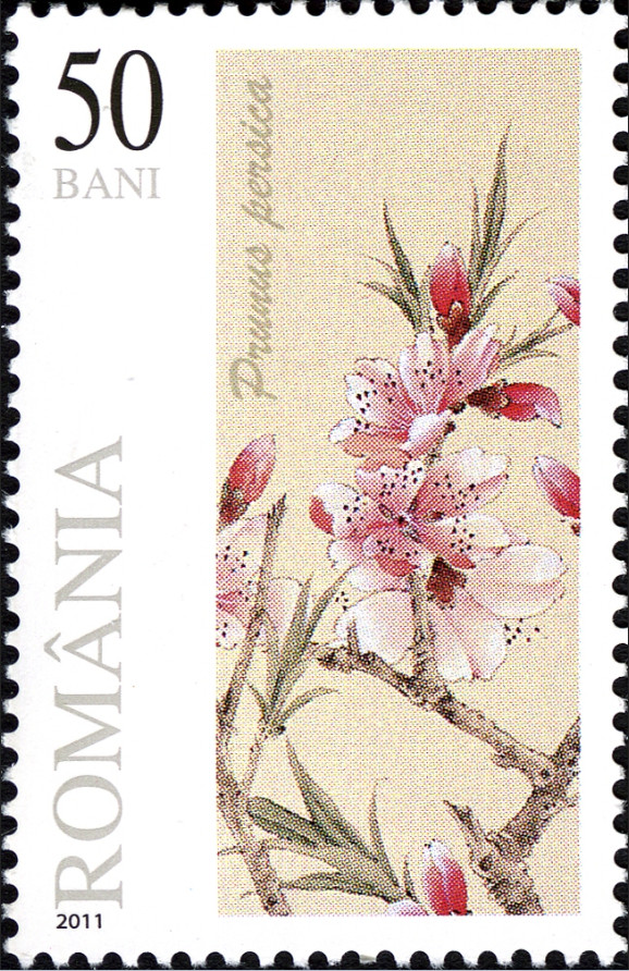 Romania 2011 Flowers - Peach Blossom a.jpg