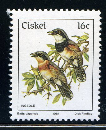 Ciskei 1981 1st Definitive Issue 16c.jpg