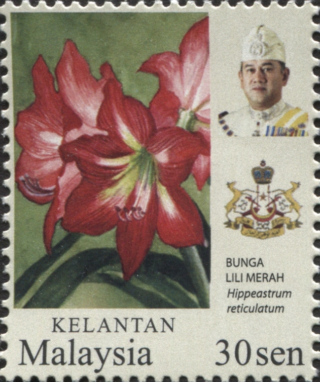 Kelantan 2018 Flowers c.jpg