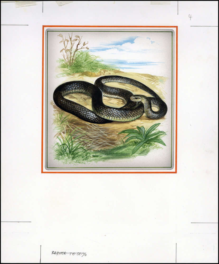Moldova 1993 WWF - Snakes 3c.jpg