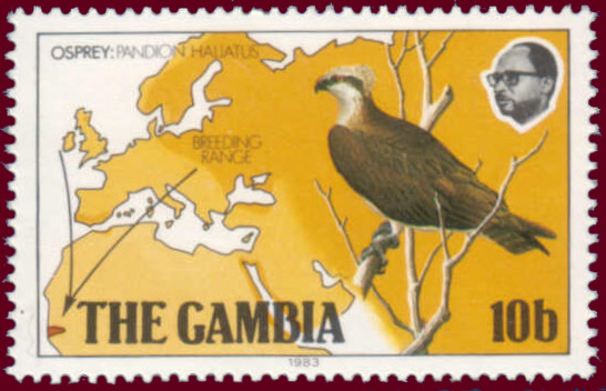Gambia 1983 Osprey a.jpg