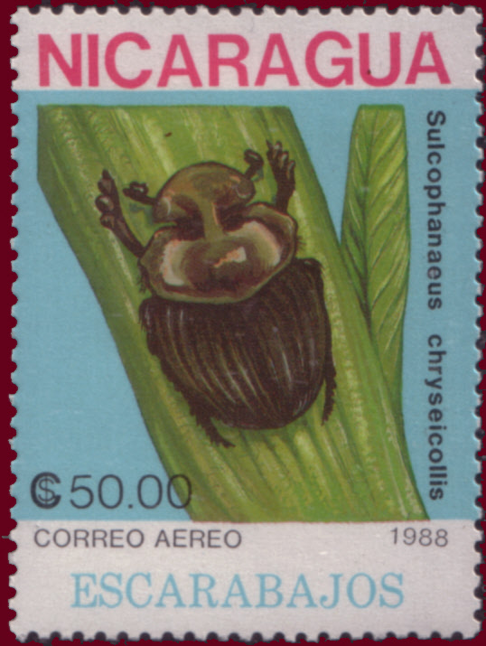 Nicaragua 1988 Beetles g.jpg