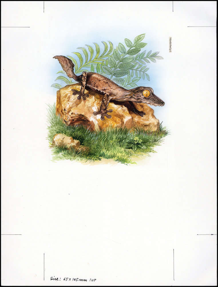 Madagascar 1999 Lizards WWF a4.jpg